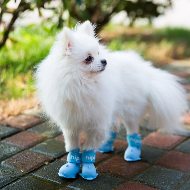 Botas para Mascotas Bling Bling Zapatos de Lluvia para Perros de Silicona Impermeables con Dibujos Animados Lindos Azul S