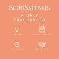 thumbnail image 3 of Fantasyland Scented Wax Melts, ScentSationals, 2.5 oz, 3 of 5