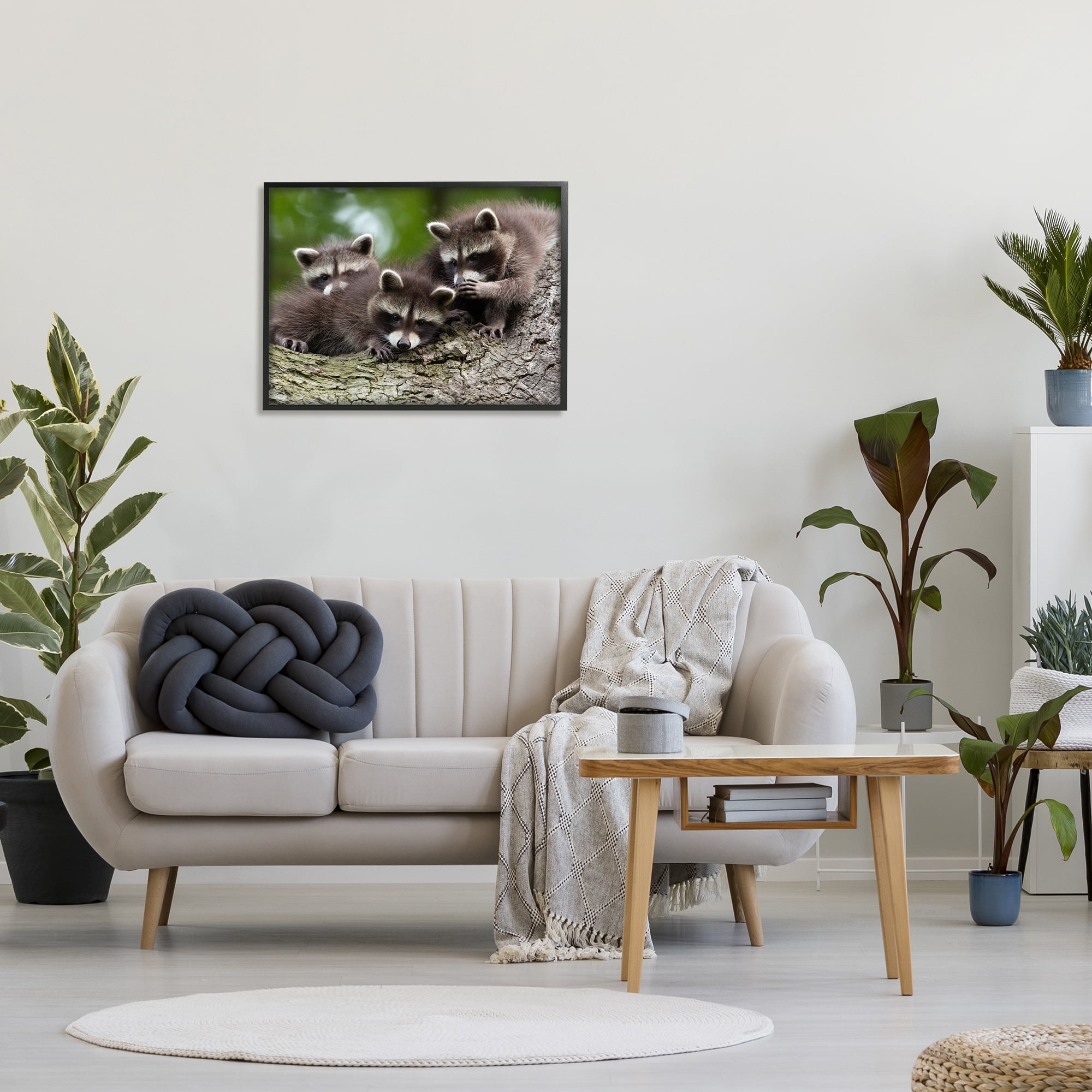 Stupell Industries Raccoon Babies in Tree Animals & Insects Photography Black Framed Art Print Wall Art, 30 x 24