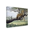 thumbnail image 2 of Trademark Fine Art 'Leopard In Tree' Canvas Art by Harro Maass, 2 of 3