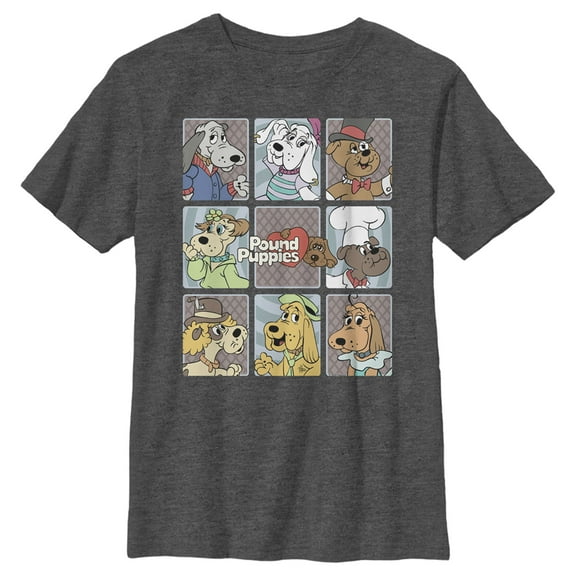 Boy's Pound Puppies Character Box  Graphic Tee Charcoal Heather Small