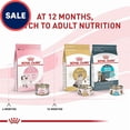 thumbnail image 2 of Royal Canin Feline Health Nutrition Kitten Loaf in Sauce Wet Cat Food 5.1 oz., Case of 24, 2 of 2