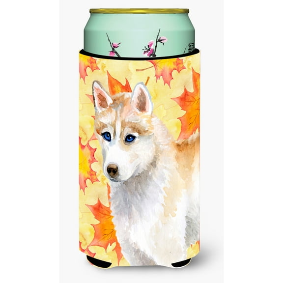 Carolines Treasures BB9916TBC Siberian Husky Fall Tall Boy Beverage Insulator Hugger Tall Boy multicolor