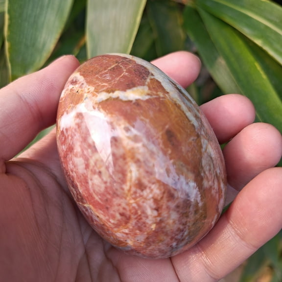 Natural Egg Shape Stone Dinosaur Eggs Shape eggs fossil, Textured Jade ball stone replica teaching toys crystals energy Fossilized EGG
