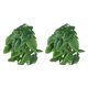 thumbnail image 1 of Planta de reptiles de plástico, planta de agua artificial de 2 piezas Planta de plástico artificial Enredadera colgante artificial Rendimiento de alta gama, 1 of 8