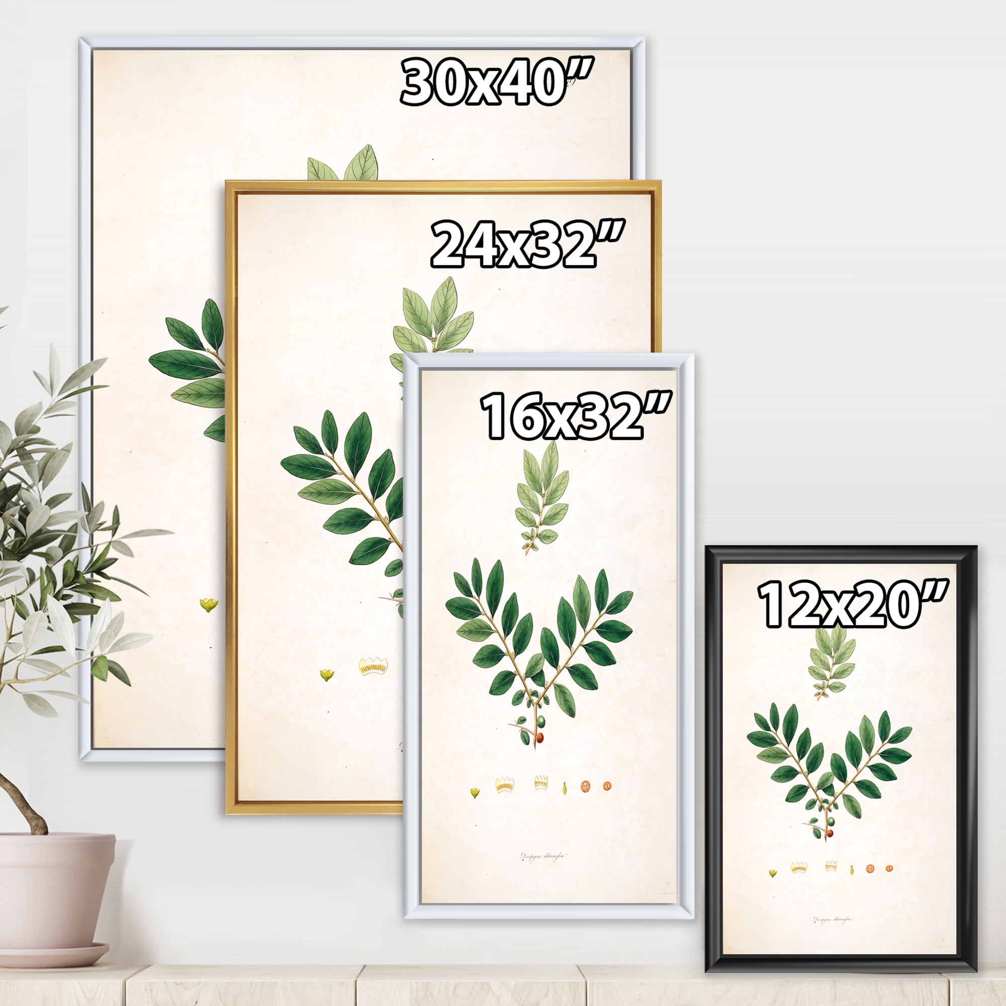Designart 'Ancient Plant Life XIV' Farmhouse Framed Canvas Wall Art Print