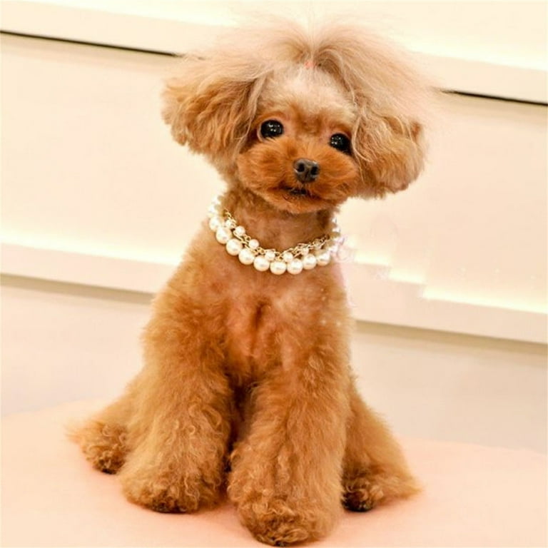 Pearl necklace dog outlet collar