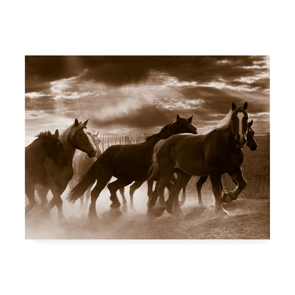 Trademark Fine Art 'Running Horses And Sunbeams Rothbury Michigan' Canvas Art by Monte Nagler