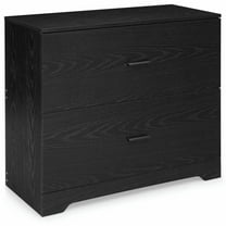Resenkos Filing Cabinet Office Drawers, Office Storage Cabinet,2-Drawer Lateral File Cabinet with Adjustable Bars for Home and Office-Black