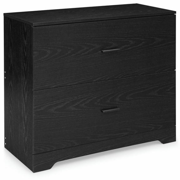 Topcobe 2-Drawer Lateral File Cabinet with Adjustable Bars for Home and Office, Rolling Storage Organizer with Drawers