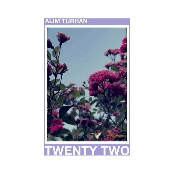 Twenty Two (Paperback)