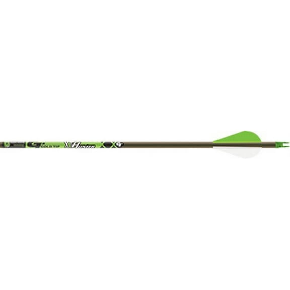 Gold Tip HXT500A2 Gold Tip Hunter XT 500 Arrows 2" Raptor Vanes 12 Pack