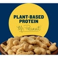 PLANTERS Cashews Rosemary & Sea Salt, Party Snacks, 5 oz Bag