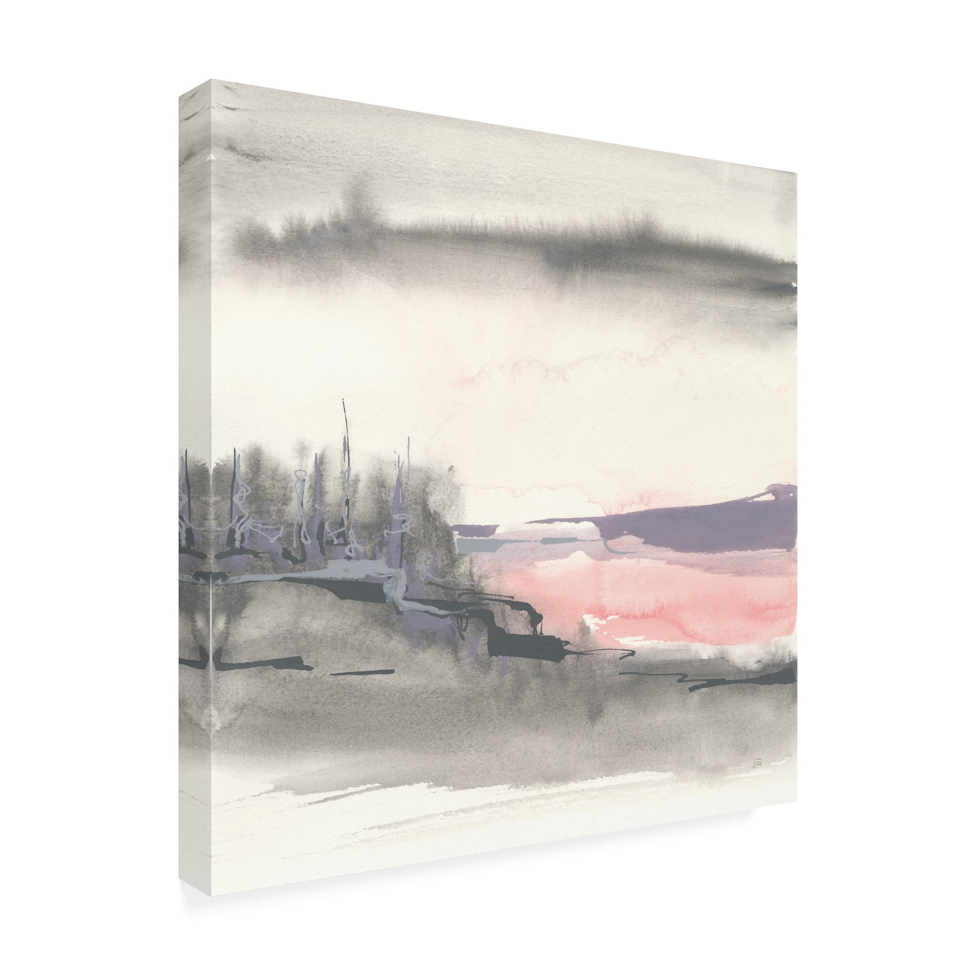Trademark Fine Art 'Blush Valley I' Canvas Art by Chris Paschke