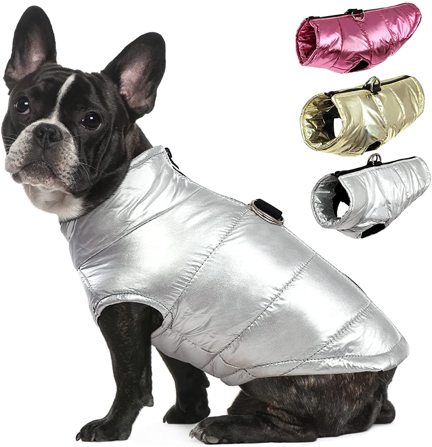 dog vest for cold weather