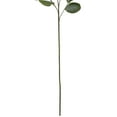 thumbnail image 6 of Northlight Seeded Eucalyptus Leaves Artificial Sprays - 33" - Green - Set of 6, 6 of 6