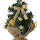 thumbnail image 2 of Mini Adorno para Navidad Con Centros Mesa LED (dorado), 2 of 4