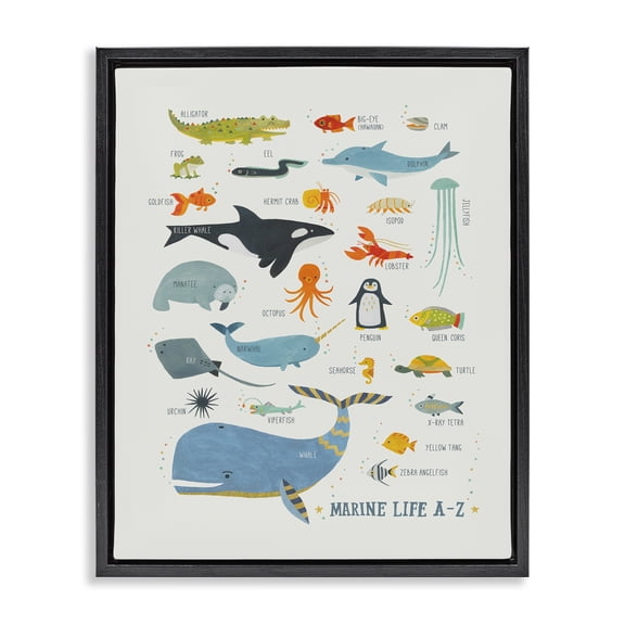 Stupell Industries Coastal Marine Life ABC Alphabet Black Floating Frame Canvas Art, 17 x 21, by Irene Chan