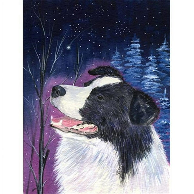 Carolines Treasures SS8369GF Starry Night Border Collie Flag - Garden Size