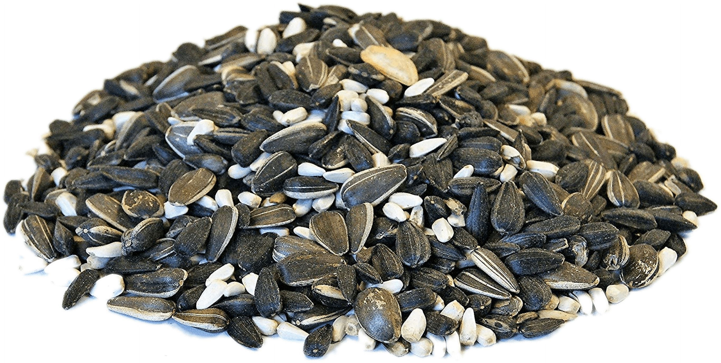 Backyard Seeds Cardinal Frenzy Bird Seed 5 Pounds