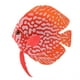 thumbnail image 4 of Peces de simulación, adorno para pecera, adorno para pecera de acuario, rendimiento de peces artificiales impulsado, 4 of 7