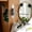 Green#1327, variant on Vintage Rotating Wall Hooks Iron Coat Rack with Wood Ball Hangers for Entryway Bedroom Hats and Bags