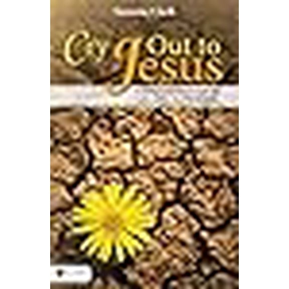 Pre-Owned Cry Out to Jesus (Paperback) 1606046284 9781606046289
