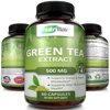 NutriFlair Green Tea Extract Weight Loss Supplement 500 mg Fat Burner for Men and Women, 60 Capsules