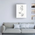 thumbnail image 3 of Vision Studio 'Botanical Imprint II' Canvas Art, 3 of 3