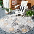 thumbnail image 2 of SAFAVIEH Cabana Blazhe Botanical Indoor/Outdoor Area Rug, Grey/Ivory, 5'1" x 5'1" Round, 2 of 14