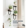 thumbnail image 6 of KEMEINILI Wall Plant Holder 3-Pack Wall Planters for Indoor Plants Plant Hanger Indoor Window Plant Shelves Hanging Plant Holder Window Plant Hanger Plant Deco（Black）, 6 of 7