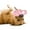 B, variant on SIfdSeng Slipper Type Pet Toy Dog Chewing Chewing Molar Toy Teeth Cleaning Multi Color Funny Dog Toy Puppy Enrichment Toys Big Dog Toys Durable Dog Toys for Aggressive Chewers