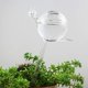 thumbnail image 4 of Plant Waterer Self Watering Bulbs, Globos de riego de plantas de vidrio transparente soplado a mano para interiores Adepaton WMZL-554-2, 4 of 6