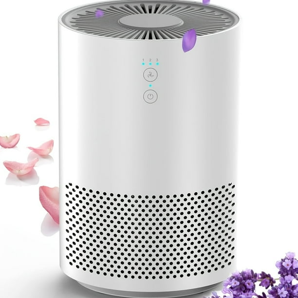 Clean Air Anywhere HEPA Air Purifier for Home Office Desk