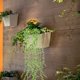 thumbnail image 2 of 6 piezas de plantas colgantes artificiales de plástico verde., 2 of 5