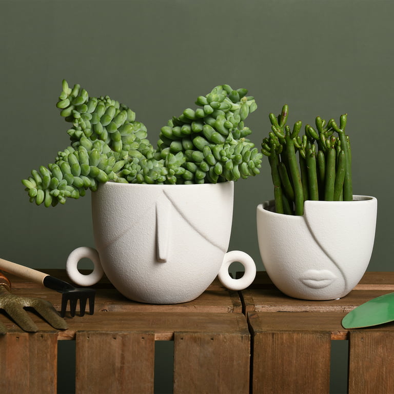 Mozing 2 Pack Ceramic Plant Pots Indoor - Set 4.8 + 6 inch Planter