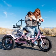 MOONCOOL Electric Tricycle for Kids ,16x3 3 Wheel 250W 10.4Ah Etrike W/ LED headlight & Rear Basket & horn bell & DIY stickers,6/9/12.5 MPH