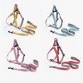 thumbnail image 6 of Escape-Proof Dog Harness Vest Tear Resistant and Breathable, Adjustable Pet Dog Puppy Vest Harness, Ideal for Outdoor, 6 of 8