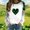 White, variant on Plcasen Women’s Crew Neck Long Sleeve Shirt Casual Pullover St Patricks Day Loose Comfy Sweatshirts