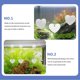 thumbnail image 3 of 4Pcs Fish Tank Mirror Betta Tank Decoration Betta Mirror Betta Fish Mirror Floating Bettal Mirror, 3 of 4
