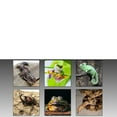 thumbnail image 3 of Paquete de 2 Platos de Alimentación de Plástico Salvador Plato doble para reptiles, 3 of 10