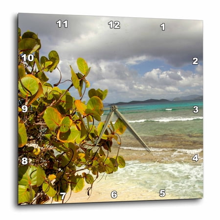 3drose, Usvi, St.thomas, St. John Bay, Sapphire Beach-ca37 Cmi0054 - Cindy Miller Hopkins, 15x15 Wall Clock