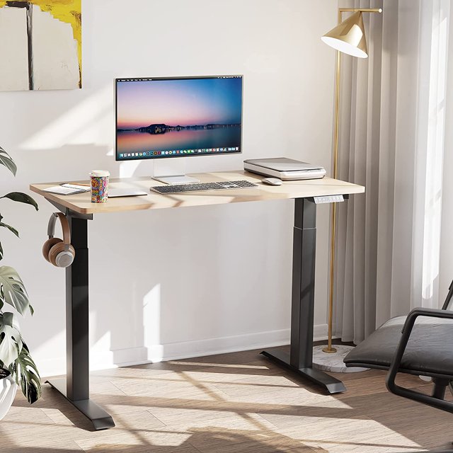 Walsunny 48" x 24" Height Adjustable Natural Electric Standing Desk (Natural Top + Black Frame)