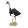 thumbnail image 3 of Modèle d'Autruche Haute Simulation Collection de Figurines d'Animaux Sauvages Modèle Éducatif, 3 of 7