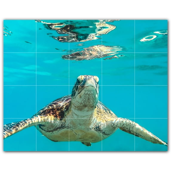 Picture-Tiles.com: Turtle Ceramic Tile Wall Mural WAL501050-54M. 30"W x 24"H using (20) 6" x 6" Ceramic Tiles-Satin Finish