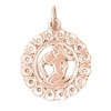 14K Rose Gold Zodiac - Aquarius Pendant - 21 mm