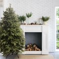 thumbnail image 1 of ALEKO CT6FT006 Pre-Lit Premium Lush Artificial Holiday Christmas Tree - 6 Foot - Green, 1 of 7
