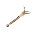 thumbnail image 3 of AuroraX Silvervine Cat Chew Wand Natural Sisal Rope Cat Wand Durable Non-Toxic Teeth Cleaning Long Lasting Interactive Cat Toy for Boredom Relief Brown, 3 of 6