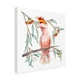 thumbnail image 2 of Melissa Wang 'Pink Cockatoo I' Canvas Art, 2 of 3