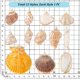 thumbnail image 4 of 12 estilos de dijes de concha natural de 0,8 a 2,2 pulgadas, colgantes de concha galvanizada, conchas marinas, conchas espirales de vieira, conchas marinas de verano con agujero, 4 of 5